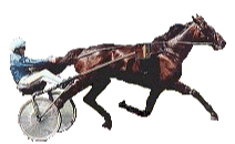 jpg