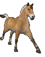 klus 2.gif