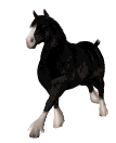 klus.gif